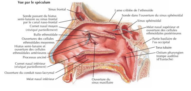 1705573583-capture-d-ecran-2024-01-18-11