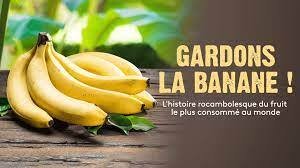 1707903533-sans-titre.jpg?042148