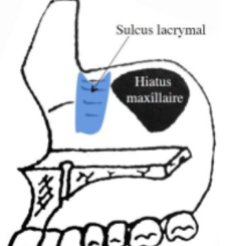 1708178521-capture-d-ecran-2024-02-17-15