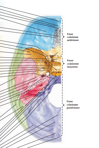 1709909913-capture-d-ecran-2024-03-08-15