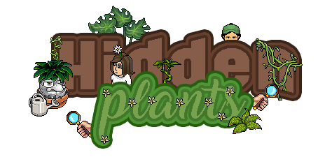 1711117665-hidden-plants.png