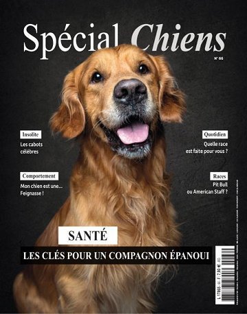 Spécial Chiens - Octobre-Décembre 2024