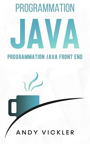 Andy Vickler - Programmation Java: Programmation Java Front End (2024)