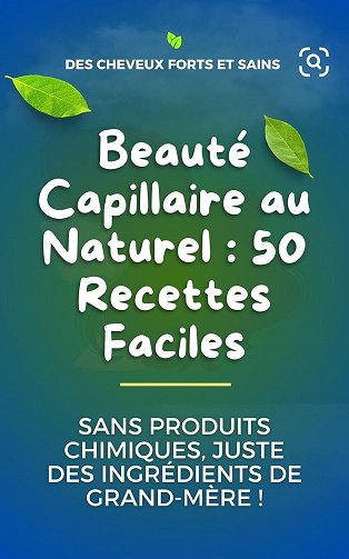 Jessica Sidney RJ - Beauté Capillaire au Naturel : 50 Recettes Faciles pour tous les types de cheveux: Sans Produits Chimiques, Juste des ingrédients de grand-mère ! (2024)