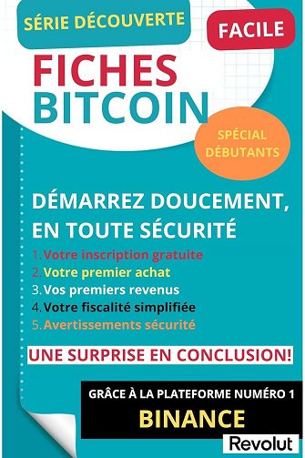 L. LA CAM - 5 FICHES PRATIQUES BITCOIN: BIEN DÉMARRER AVEC LE BITCOIN (2024)