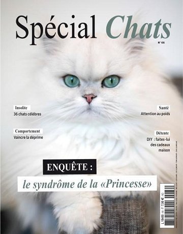 Spécial Chats - Janvier-Mars 2025