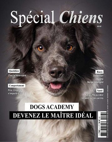 Spécial Chiens - Janvier-Mars 2025