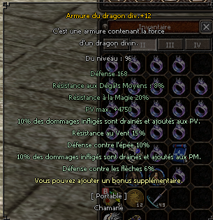 1740653835-armure96.png