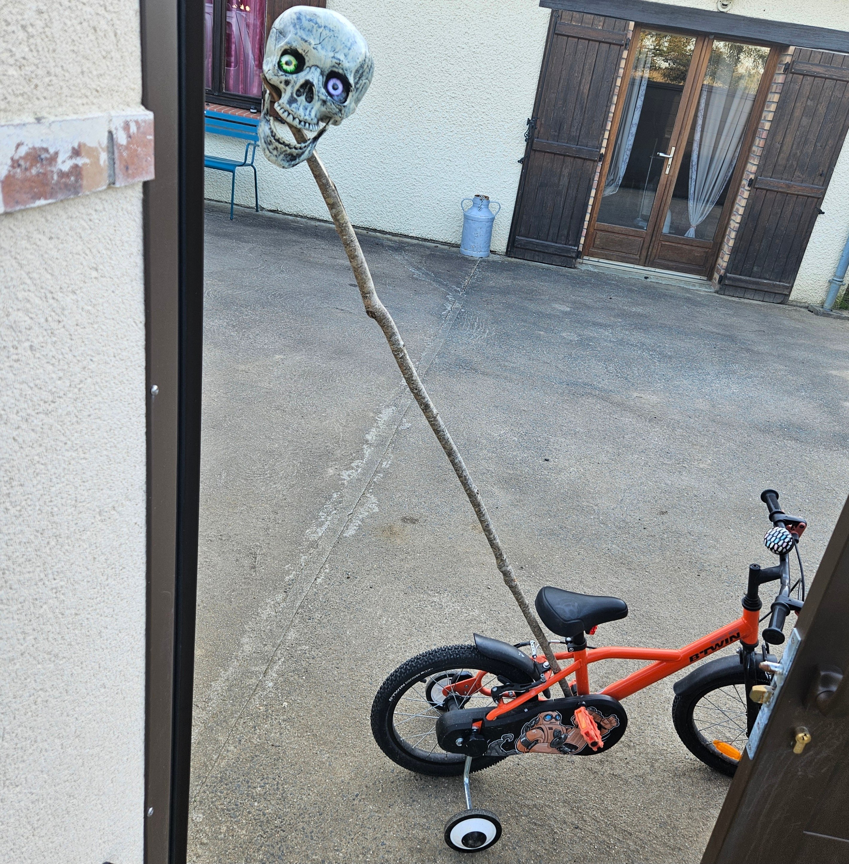 FOU DU VILLAGE, MON FRÈRE ME FAIT UNE BLAGUE LUGUBRE (photo)
