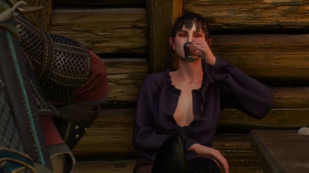 [The witcher 3] Vienne