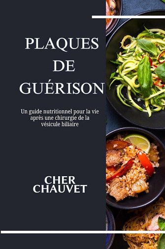 CHER CHAUVET - PLAQUES DE GUÉRISON (2025)