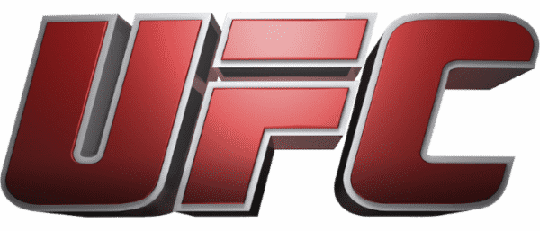 UFC 315