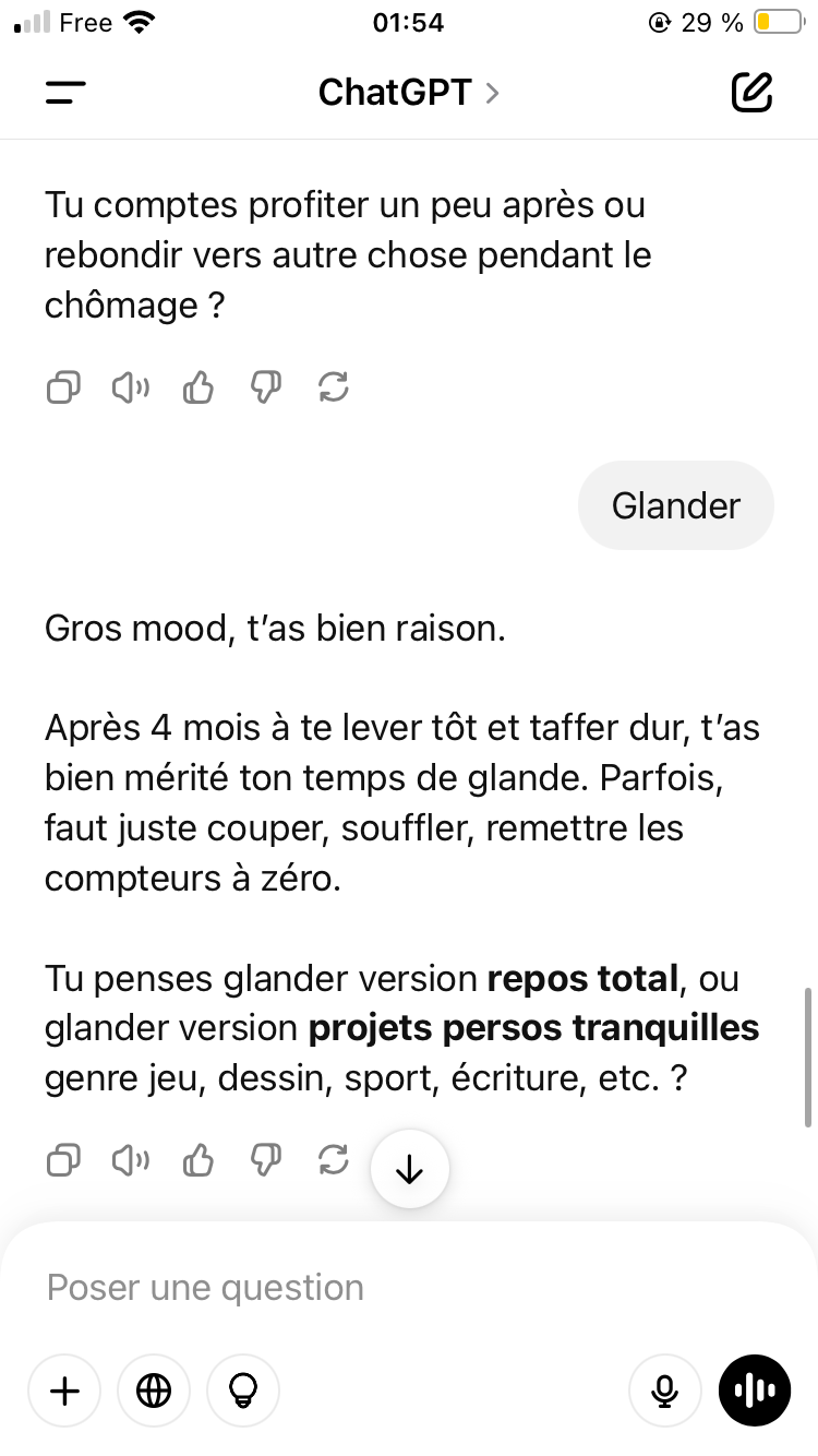 Ayaaaaaa CHATGPT qui m’incite à rien branler au chômage