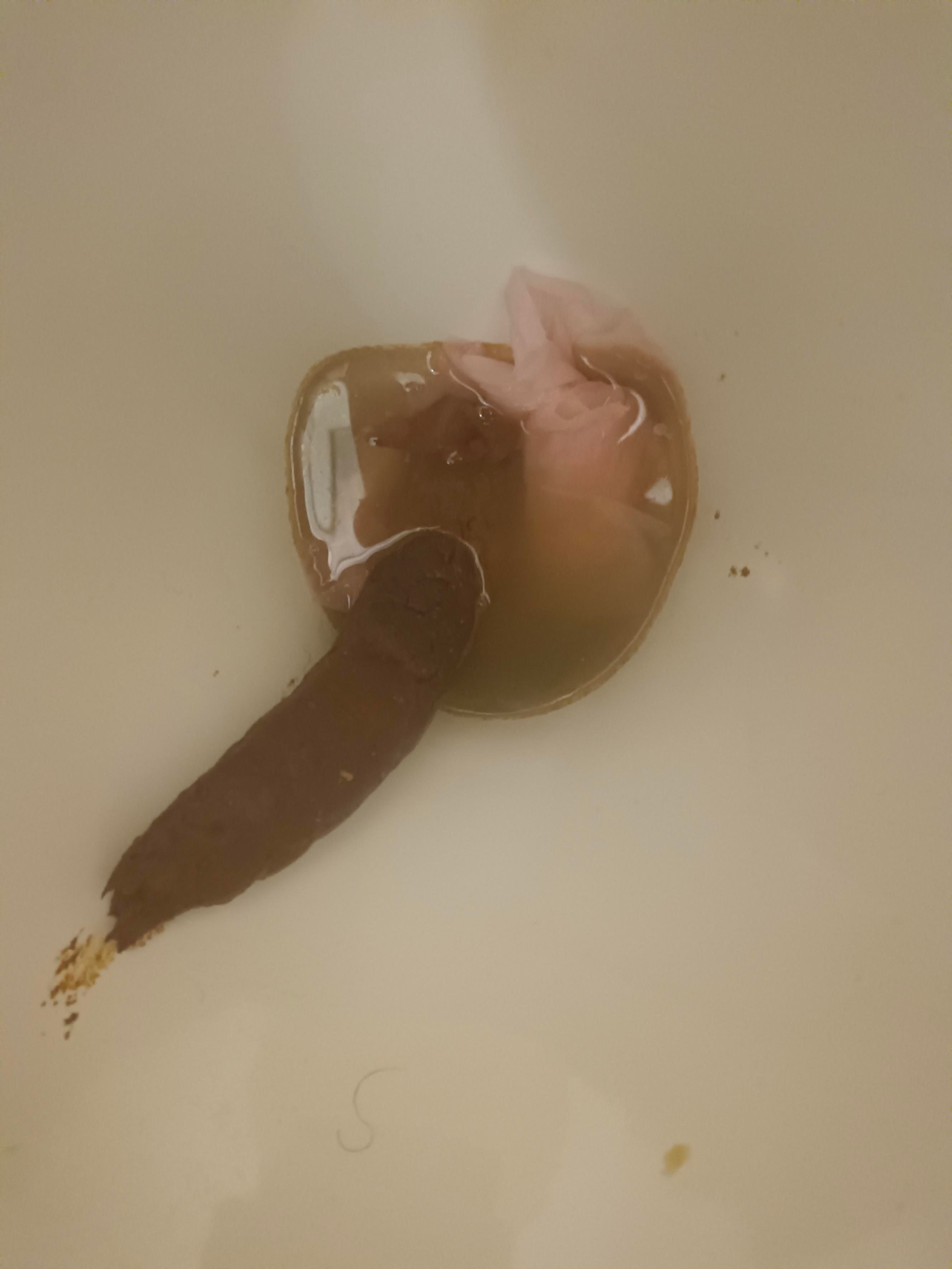 Ma soeur lâche des étrons monstrueux