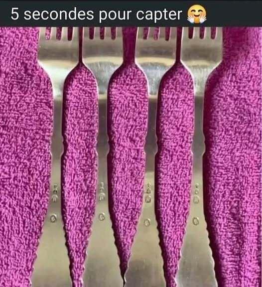 1747855217-497801070-1273982600964133-4254456527091725333-n.jpg