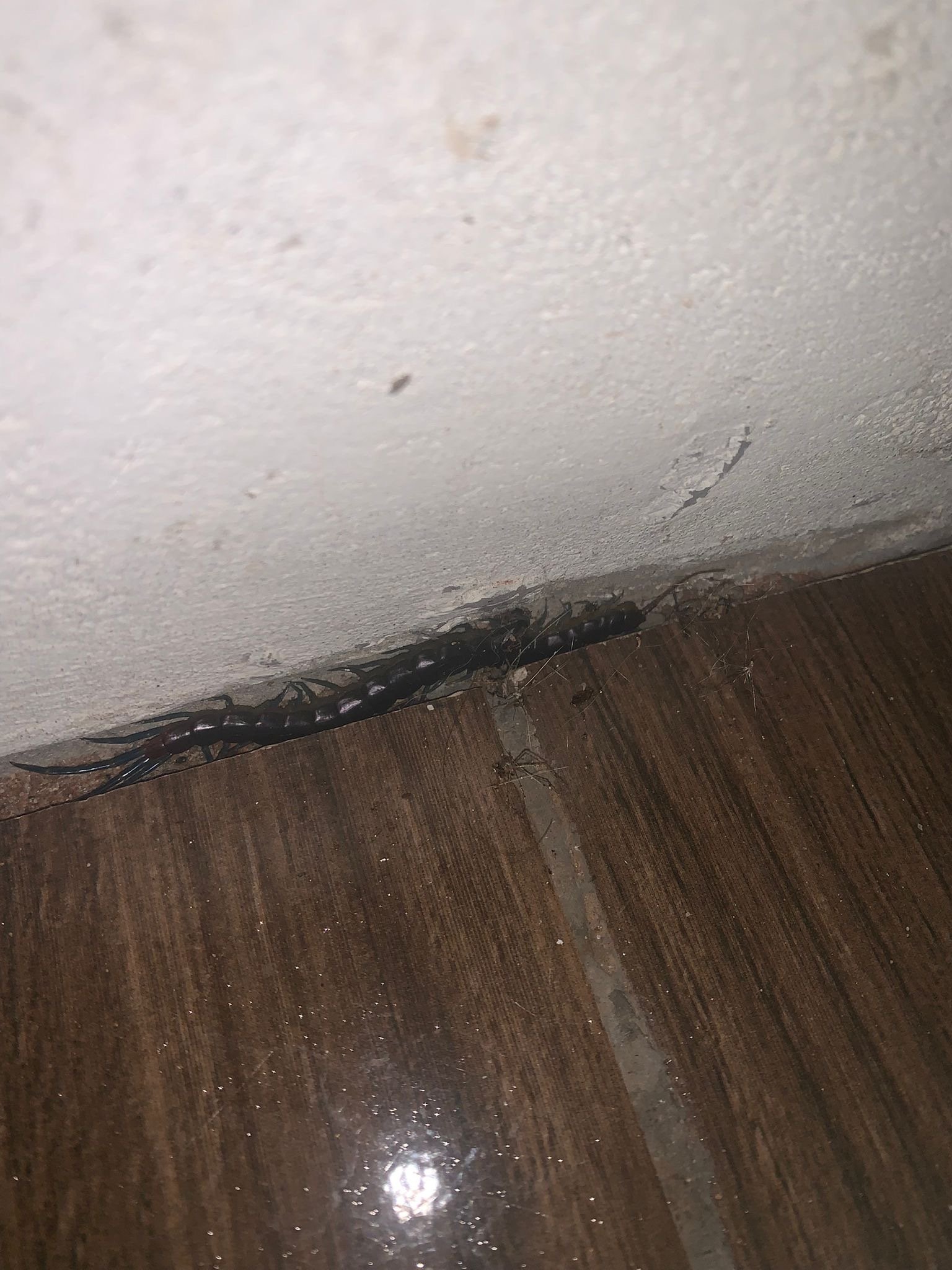 Je viens de chier dans mon calbar tout neuf
