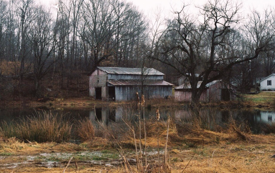 Photograph 1 by Emma Thatcher
