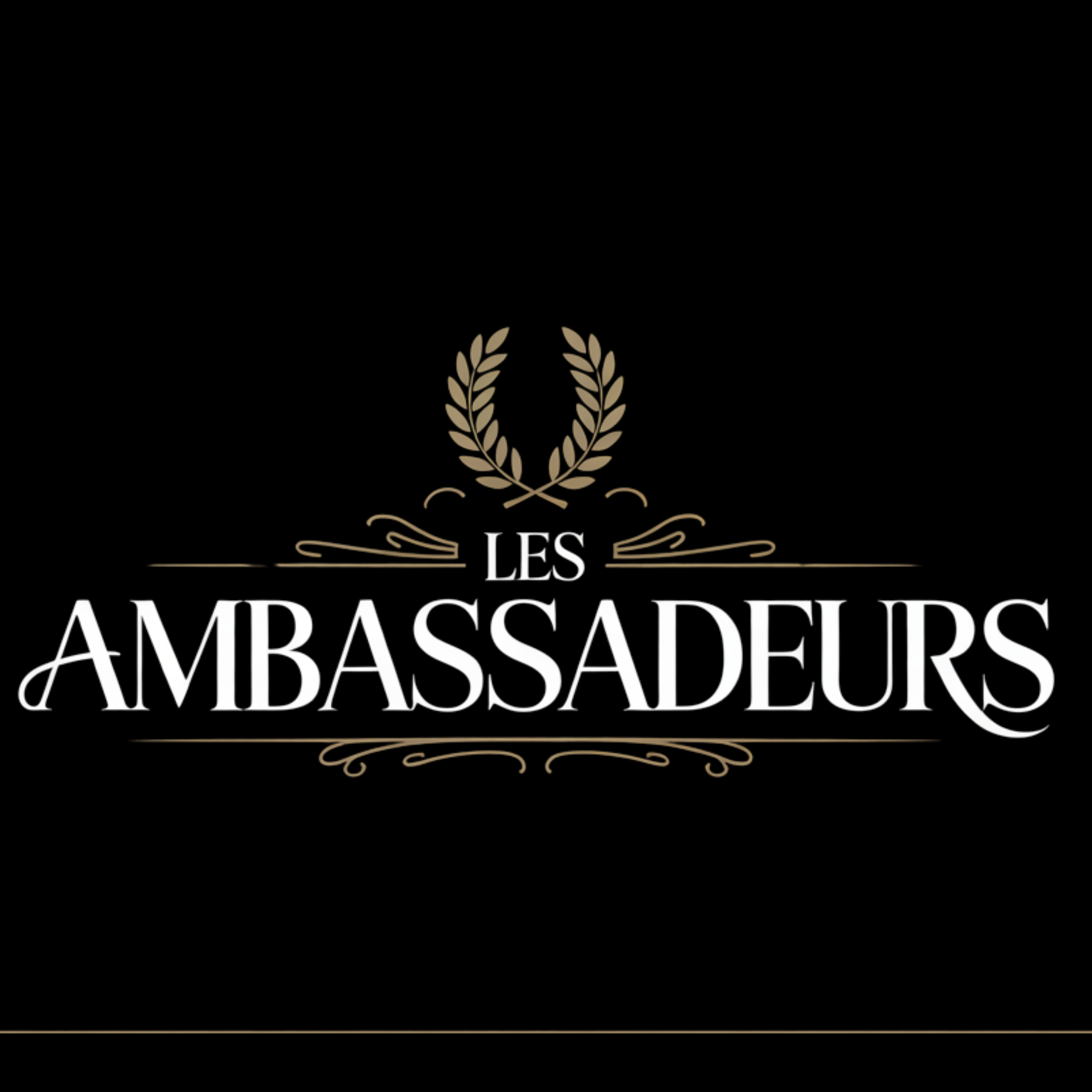 Les Ambassadeurs D'Haïti