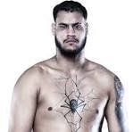UFC Fight Night