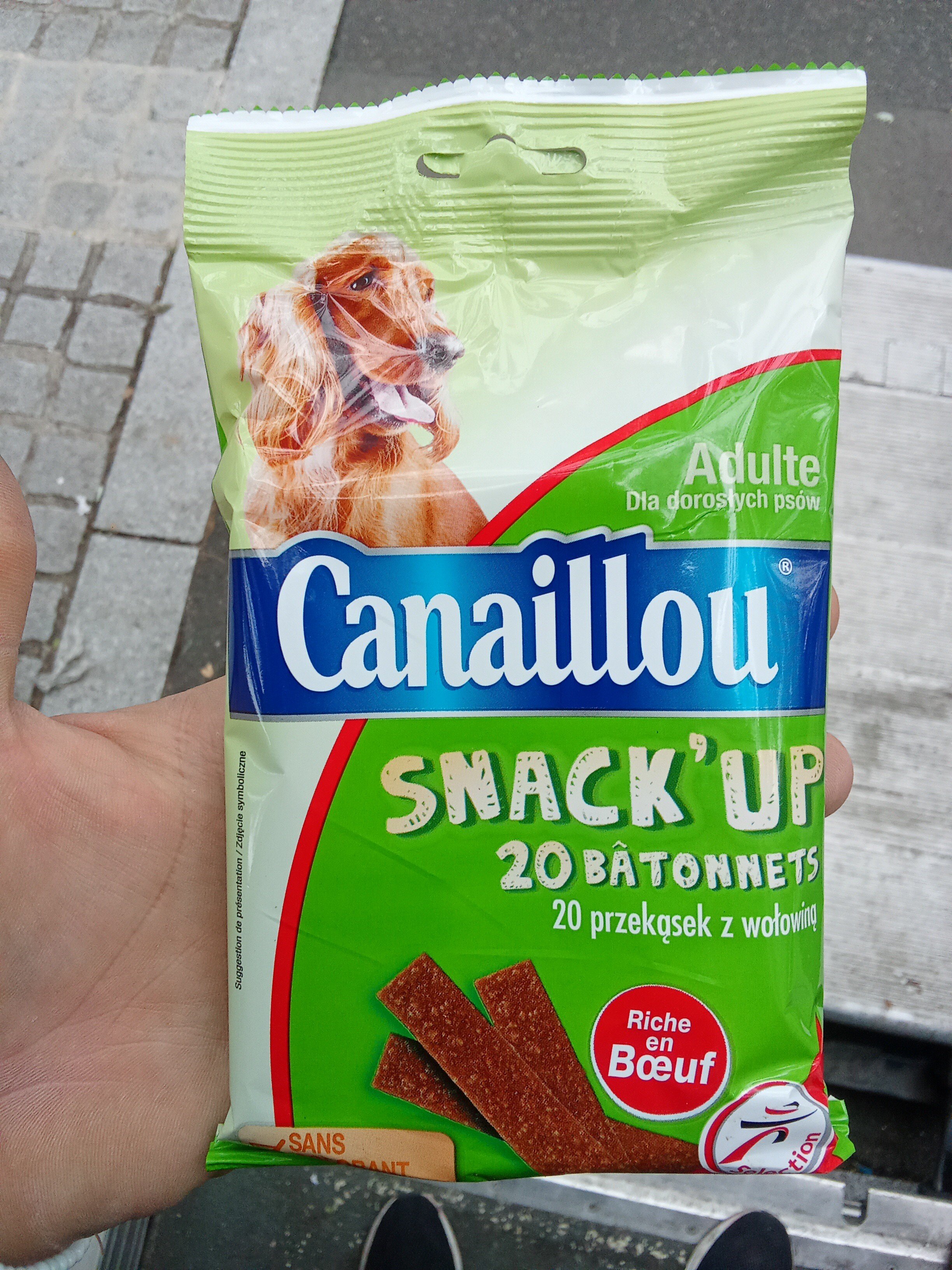 CANAILLOU Snack UP BOEUF20X10G