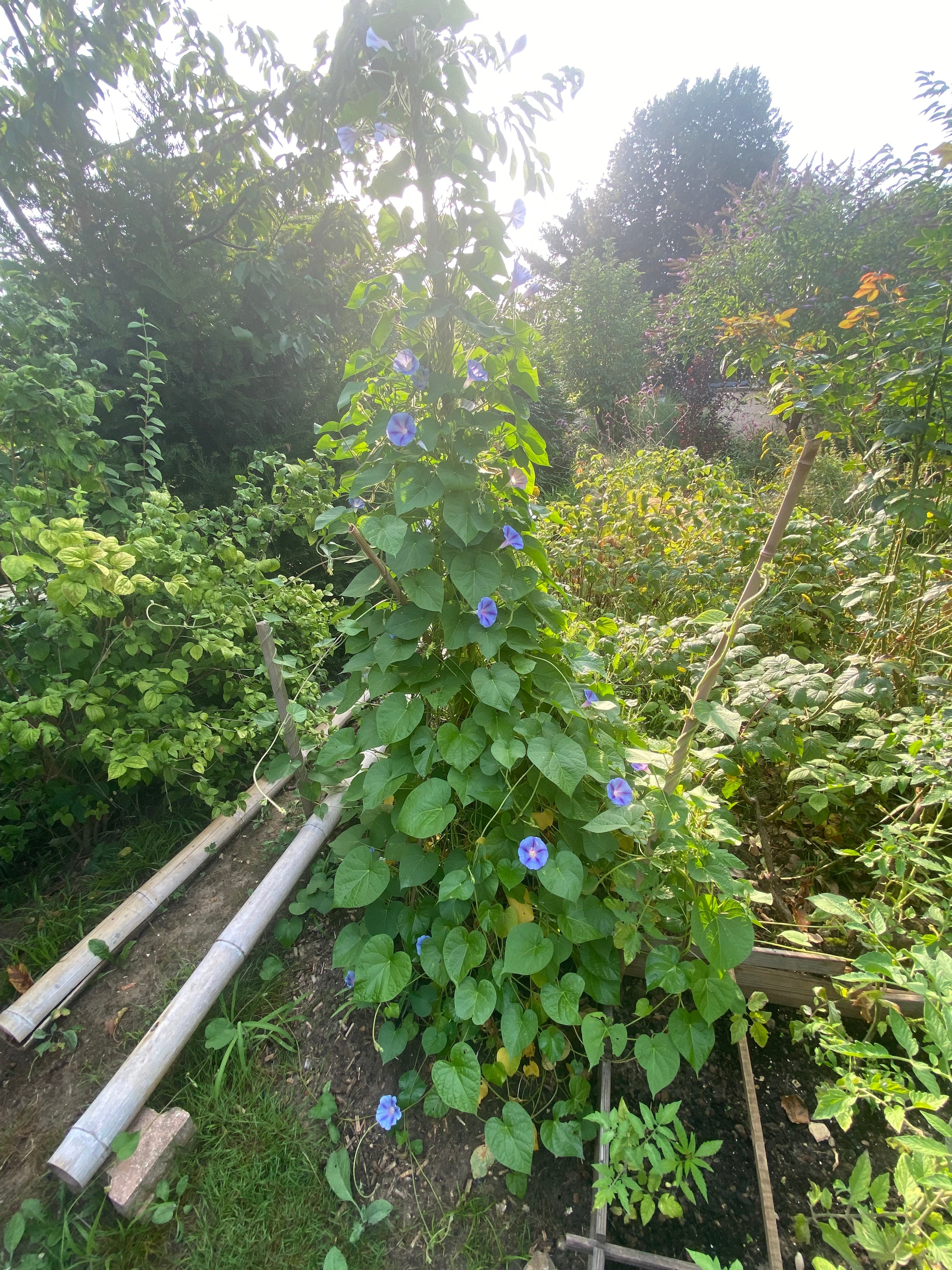 1755298715-img-0740.jpeg