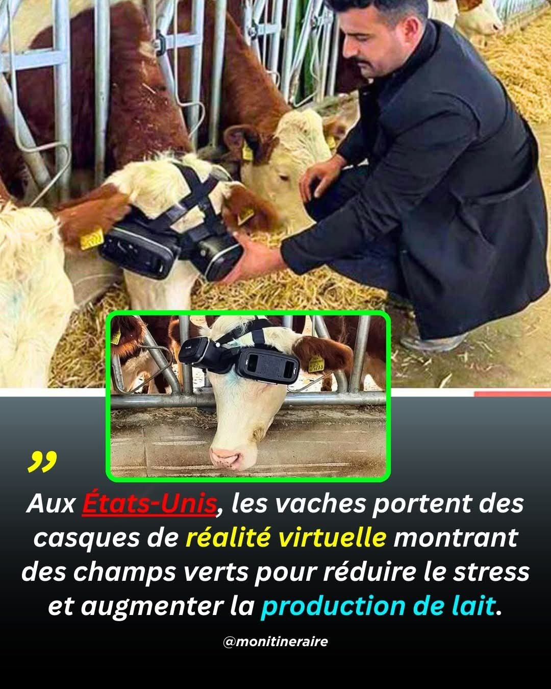 1756556995-whatsapp-image-2025-08-30-at-12-32-05.jpeg