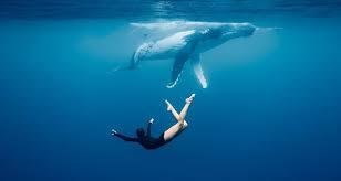 1759831097-images.jpg?042148