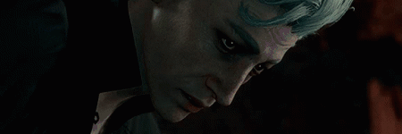 description of the image