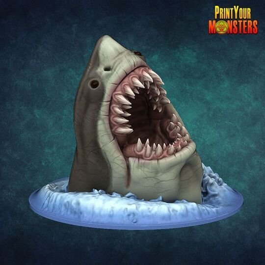 1766569047-720x720-shark-1.jpg