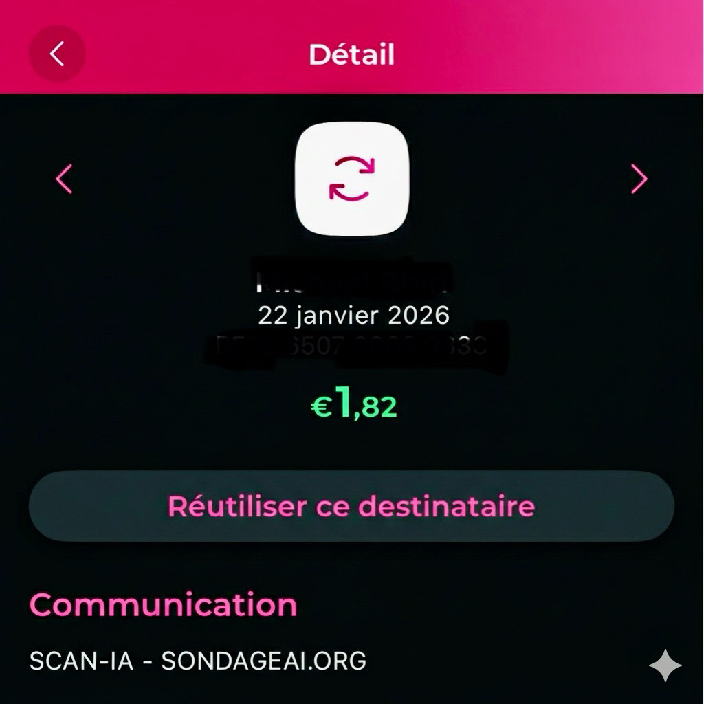 Capture d'écran du premier virement