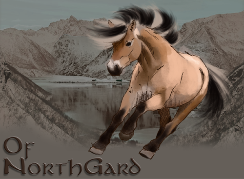 1771674191-fjord-equipe-fiche-v3.png