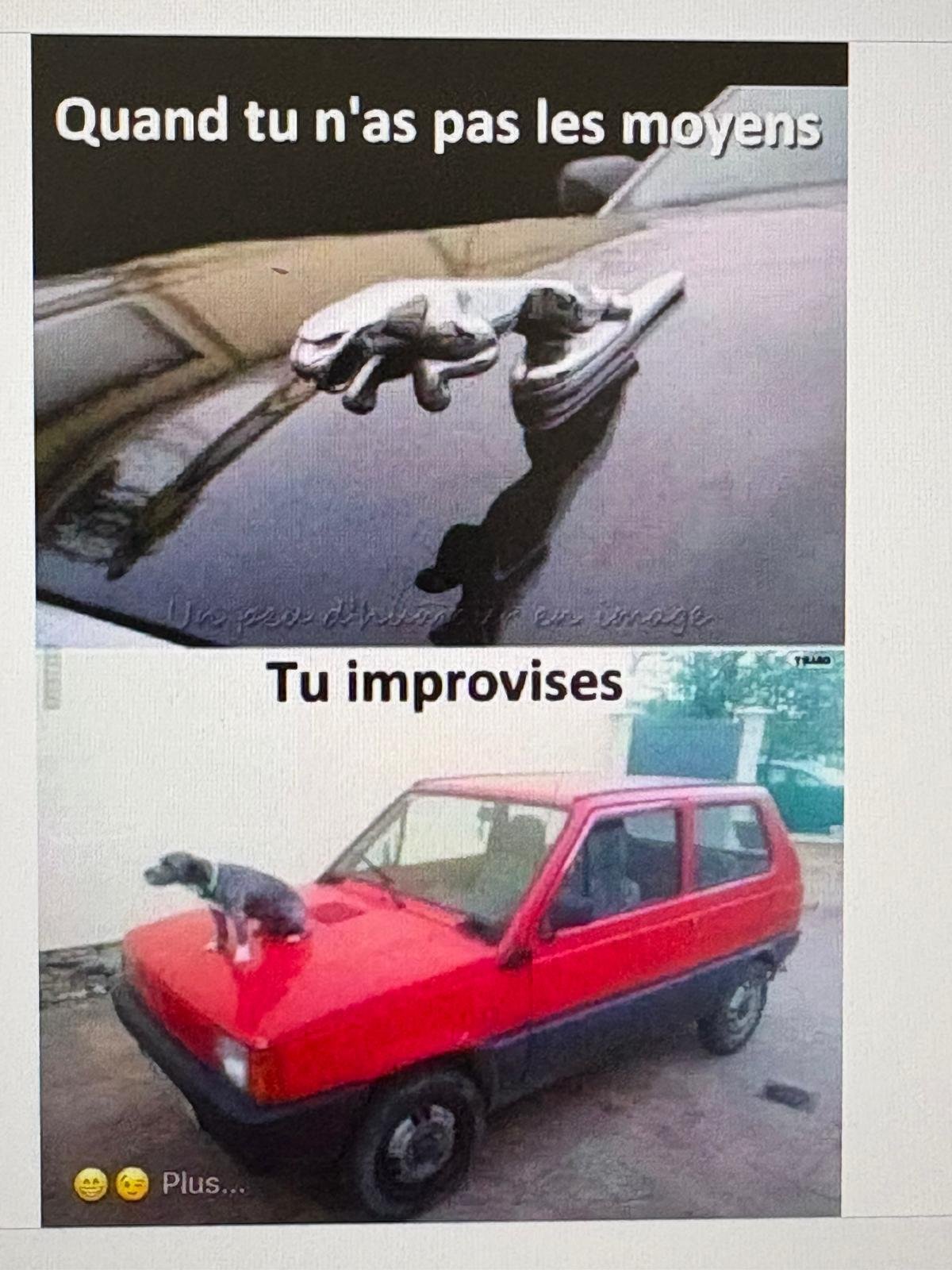 1775905946-whatsapp-image-2026-04-11-at-10-38-33-3.jpeg
