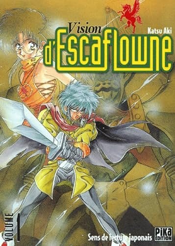 Vision d'Escaflowne Intégrale 8 Tomes