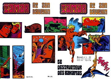 Tamar et son dauphin - Tome 01