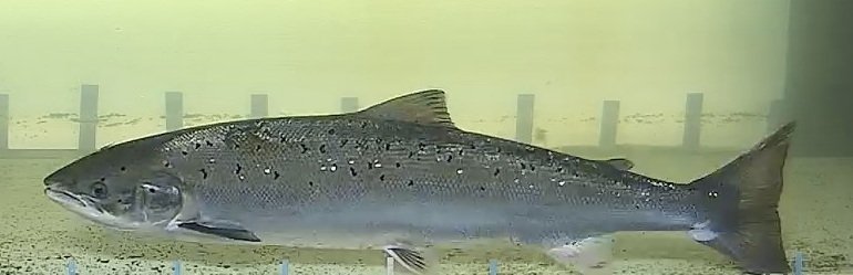 https://image.noelshack.com/fichiers/2026/20/3/1778659058-snapshot-20260513-094612.jpg