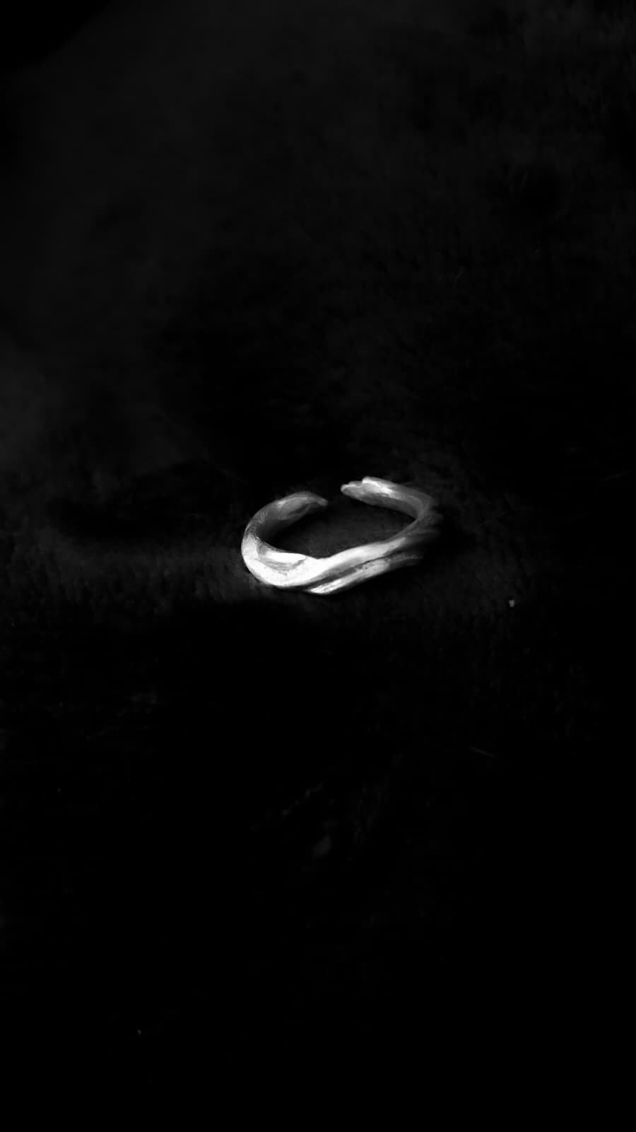 Silences