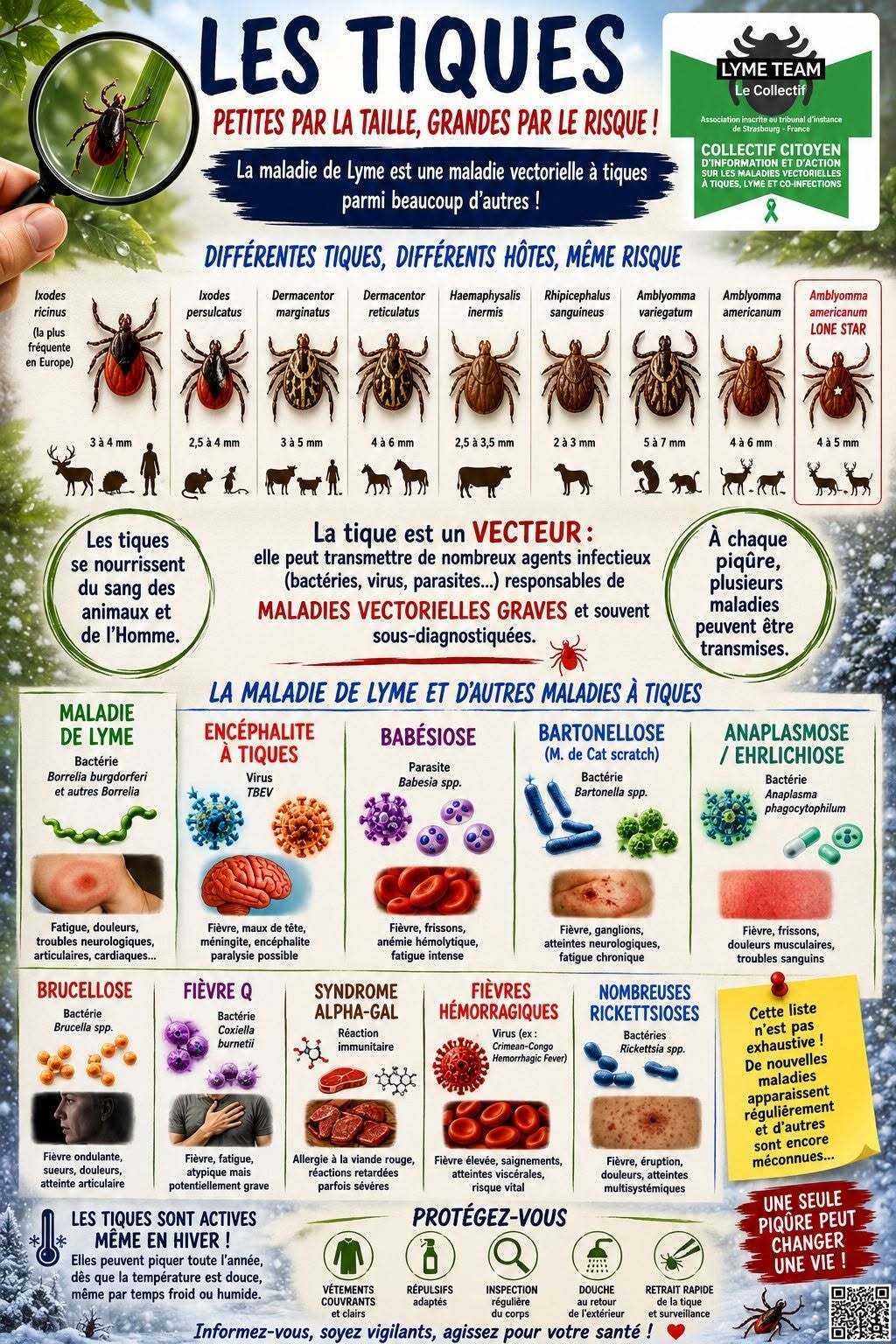 https://image.noelshack.com/fichiers/2026/24/5/1781278919-tiques.jpg