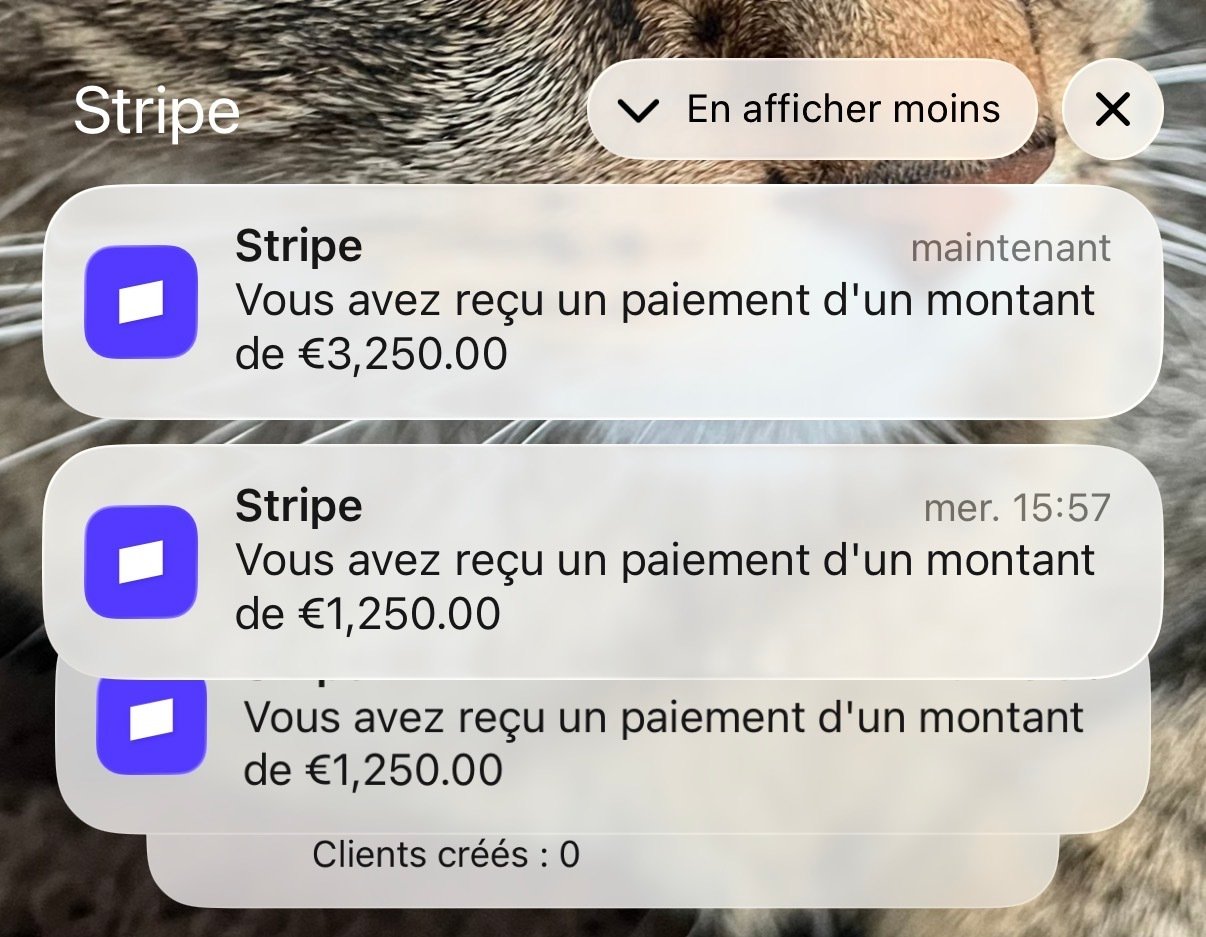 Résultat élève L'Impakt Digital