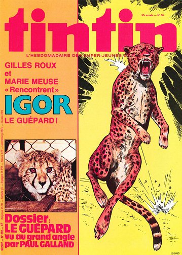 Nouveau Tintin - Tome 262 Nouveau Tintin - Tome 262