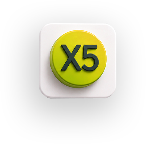 Website X5