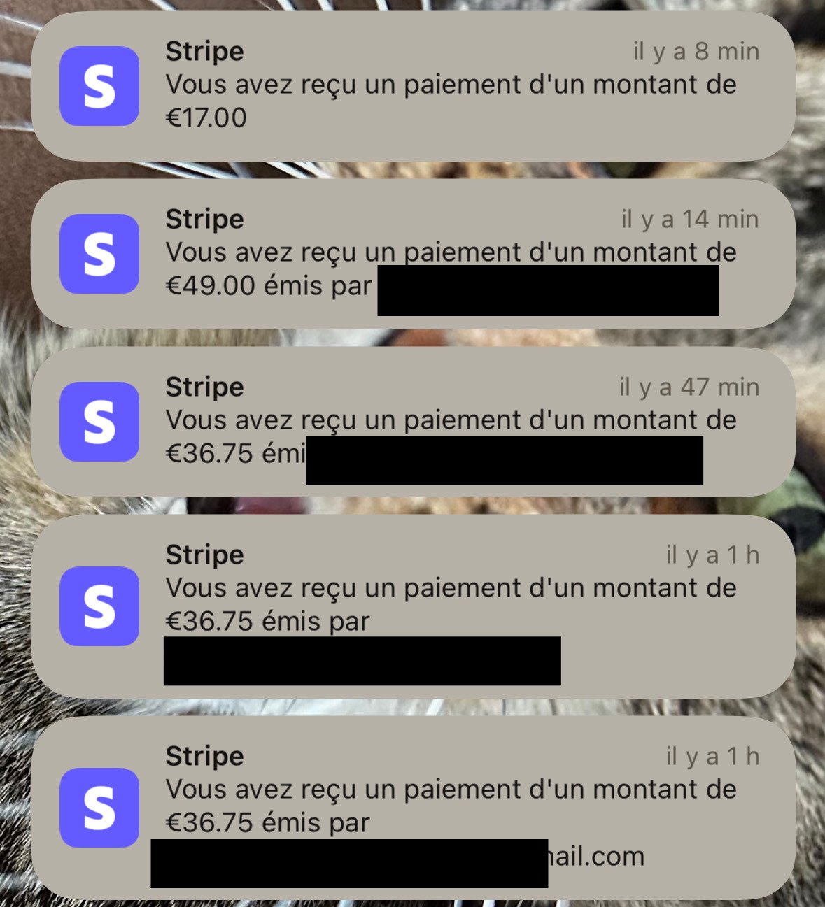 Résultats 7