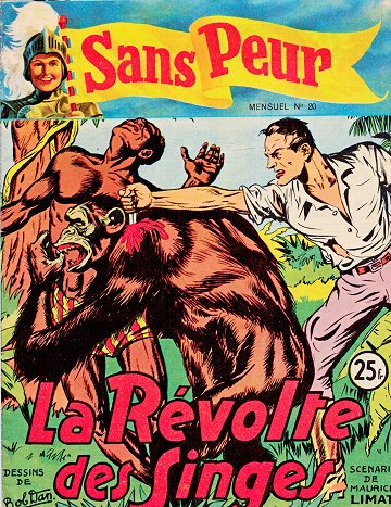 Sans Peur - Tome 20