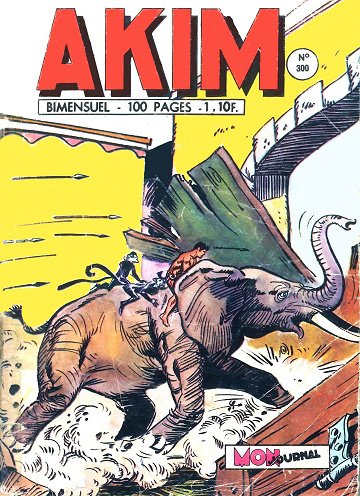 Akim - Tome 300