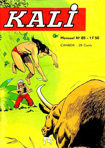 Kali - Tome 85