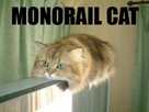 https://image.noelshack.com/fichiers/2009/31/1249157365-monora15073703.jpg