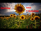 https://image.noelshack.com/fichiers/2009/39/1254038342-090516095713_1.jpg