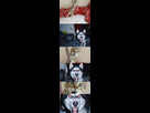 https://image.noelshack.com/fichiers/2009/42/1255709721-crazycatdog.jpg