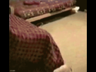 https://image.noelshack.com/fichiers/2009/42/1255802670-pedo-dog.gif