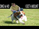 https://image.noelshack.com/fichiers/2009/42/1255869882-mmo2.jpg