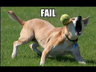 https://image.noelshack.com/fichiers/2009/42/1255873060-fail2.jpg
